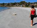 Kangaroo Island (12)